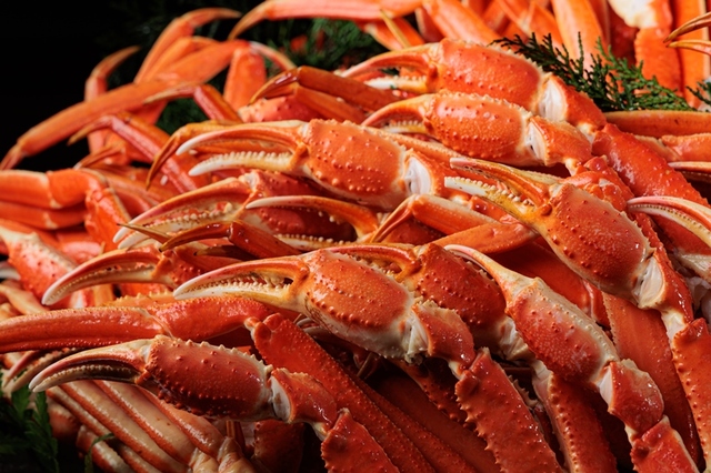 「ボイル本ズワイ蟹」<期間:2024年10月1日〜2025年3月31日>【本ズワイ蟹もローストビーフも好きなだけ!「本ズワイ蟹食べ放題&ローストビーフ食べ比べ」開催!】