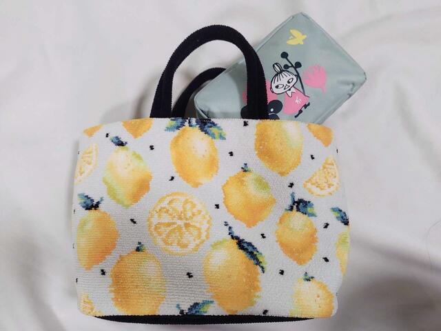 ミニバッグにも入る大きさ