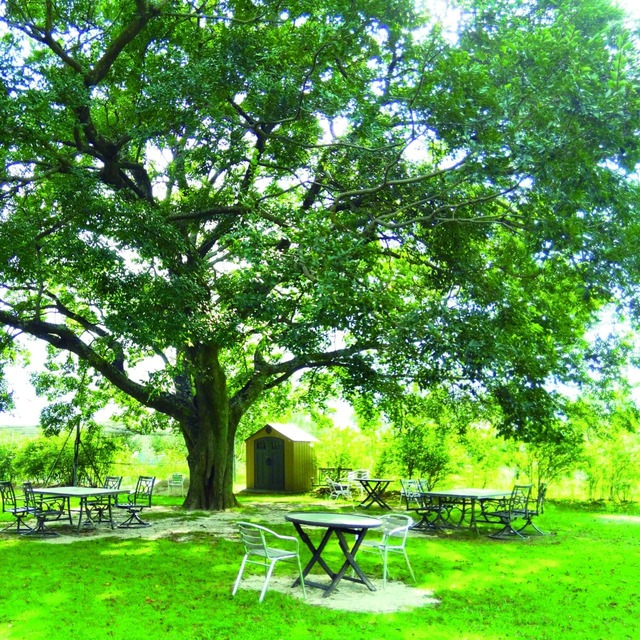 【深呼吸したくなる新緑カフェランキング】第1位：「HACK BERRY」（静岡県）