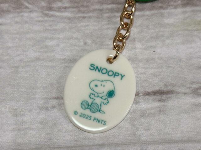 マスコット以外に、アクリルプレートのチャームもついています！