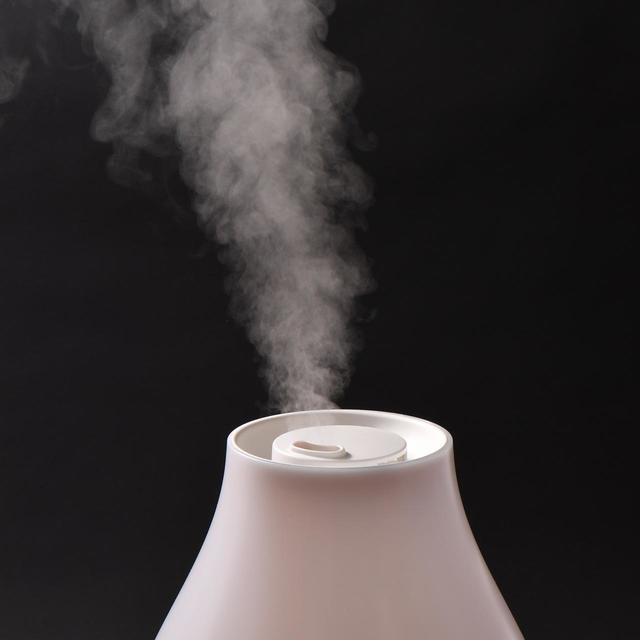 【Francfranc（フランフラン）】レイ ダブル抗菌ハイブリッド式加湿器