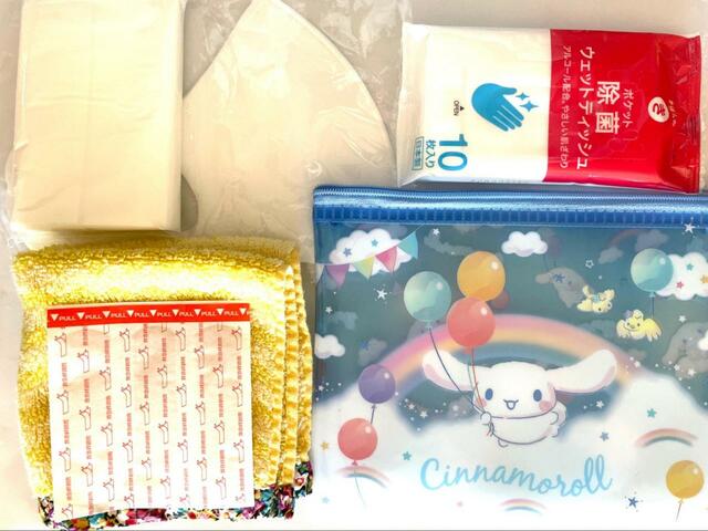 【ダイソー シナモロールのフラットポーチ】たくさん物が入ります