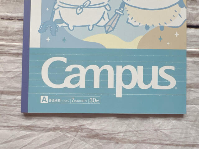 ハチワレカラーのブルーが基調になっているカラーリングが爽やか！