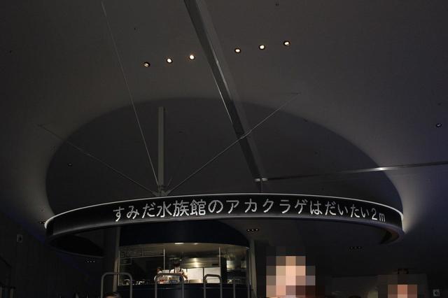 キッチンの上には電子掲示板があります。