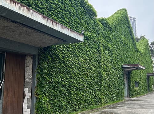 華山1914エリアは古い工場をリノベーションして作られた建物が楽しめる場所です。現在は映画館やイベント会場、カフェや雑貨屋として使われている総合施設などがあり、台北の昔と今が交差するエンターテイメント的な活動の場所となりました。