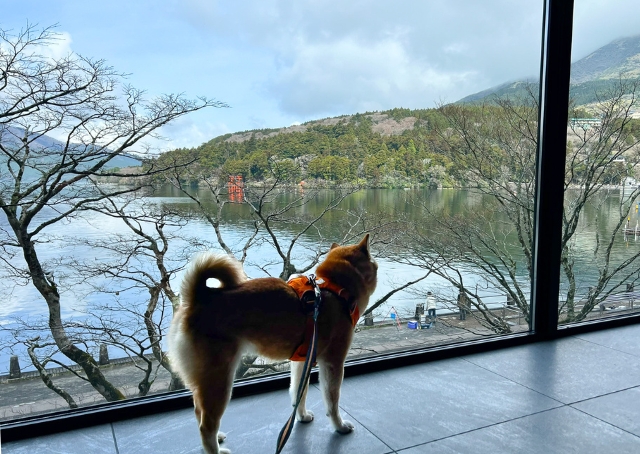 【Rakuten STAY FUJIMI TERRACE 箱根芦ノ湖】施設の玄関を入ると、全面窓から広がる芦ノ湖の絶景がお出迎え