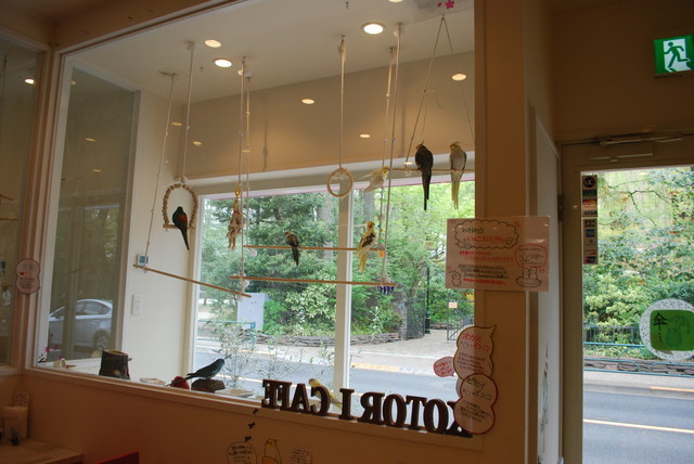 ことりカフェ/吉祥寺店・店内