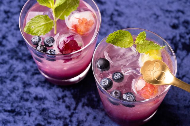 「Trick or “Meow”! Grape Soda（トリック・オア・ミャオ！グレープソーダ）」＜大人4,700円＞【Meow Halloween Party】