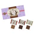 チョコレート 紙箱 ミッキー ミニー1,000円