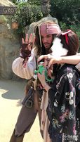 自分の顔の良さを自覚しているキャプテンジャック・スパロウ