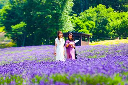 img_bc5ee93c4e2f509a4cb45001c2