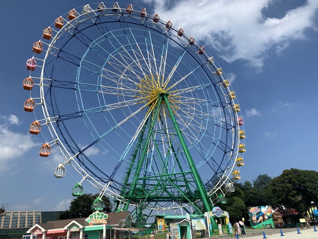 国営ひたち海浜公園の観覧車で園内を一望するのもお勧め!