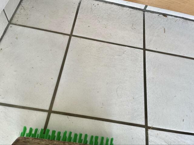 【玄関】オキシクリーンを溶かした液＋ブラシでこする