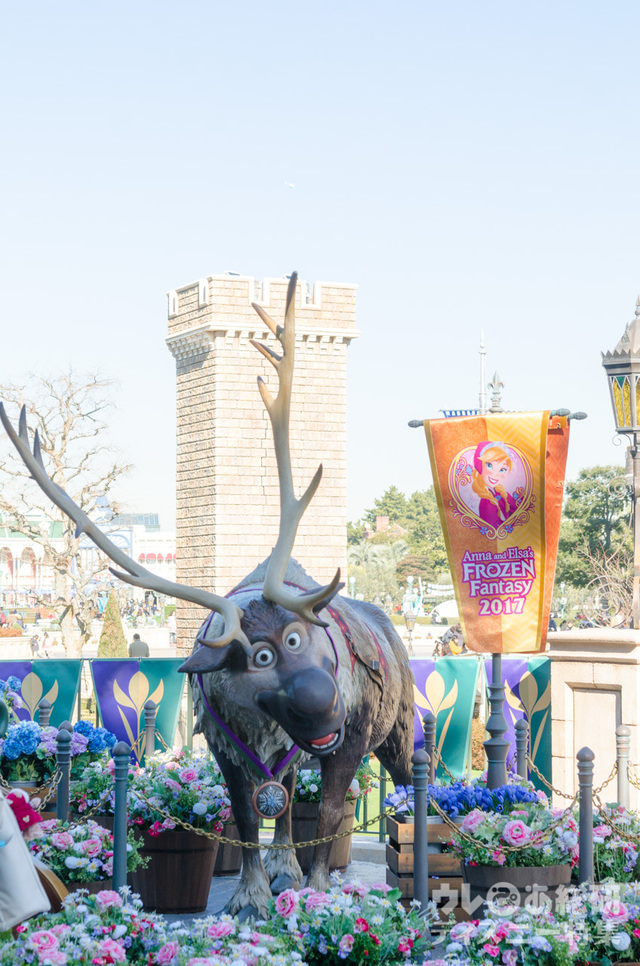 体験型のフォトロケーション