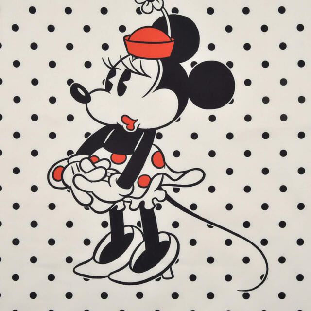 ミニー スカーフ MINNIE DAY 3,300円