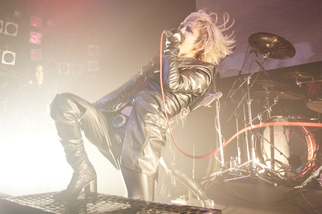 THE BLACK SWAN　儿