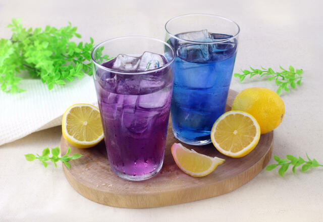 「バタフライピー」＜期間：2026年4月1日～＞【ブロンコビリー名物「新鮮サラダバー」が新スタイルに！「ブロンコビュッフェ」は、4月1日より全店で提供スタート！】