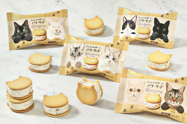 「にゃんともおいしいバターサンド～レーズン～」＜価格：1個 350円（税込）＞【ねこねこ新商品『にゃんともおいしいバターサンド～レーズン～』発売！『ねこねこランチトートバッグ』も見逃せない！】