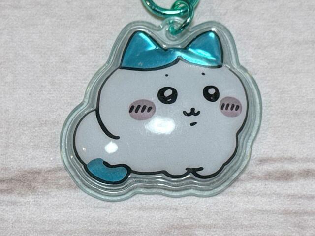 香箱スタイルのハチワレ。むっちりとした、まんまるフォルムのボディがなんともキュート！