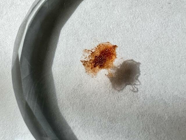 【セリア ガラスジェルネイルパレット】実際にカラーをのせると下が透明だから分かりやすい