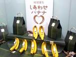 「地球育ち しあわせバナナ」