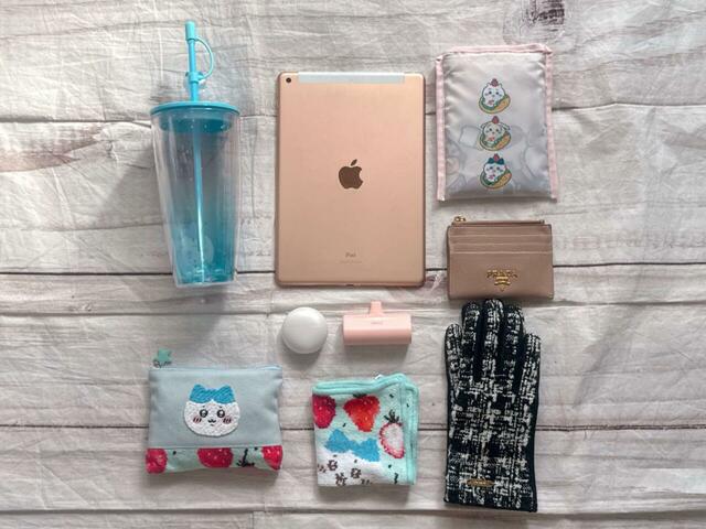 これだけのものがラクラク収納可能！ちょっとしたお出かけにぴったり♪