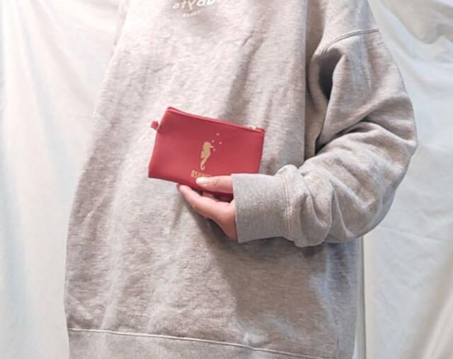 赤いポーチのサイズ感