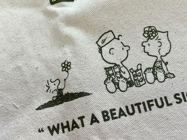 春はウッドストック、夏は水着のチャーリー・ブラウン&サリー♪【SNOOPY HOBBY TOTE BAG BOOK:スヌーピーの大容量ボックストート】