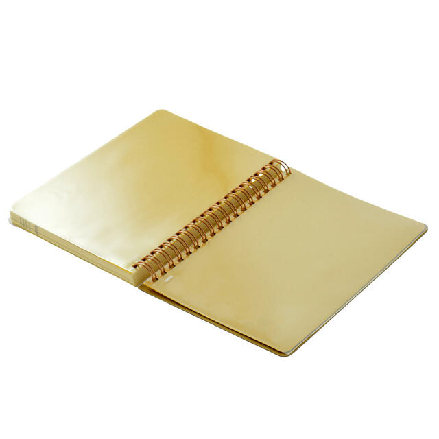 【デルフォニックス】ラプンツェル＆フリン・ライダー、パスカル Rollbahn Diary L 手帳・スケジュール帳 CALENDAR＆ORGANIZER 2026 2,400円