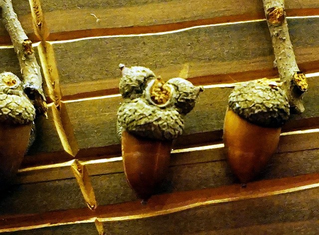 かさの部分が隠れミッキーに! 