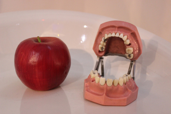 美しいけど怖い!「医療器具展」の展示物