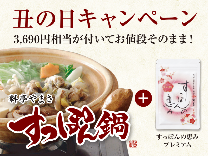 すっぽんの恵み　やまさ　4個 Amazon | 公式 すっぽんの恵み プレミアム サプリメント 約1ヶ月
