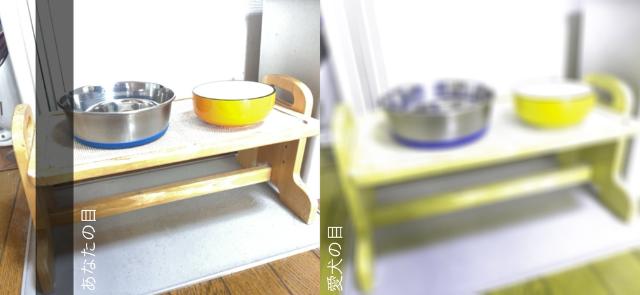 【無料アプリ「犬の目カメラ」】食器もあまり見えていないようです。