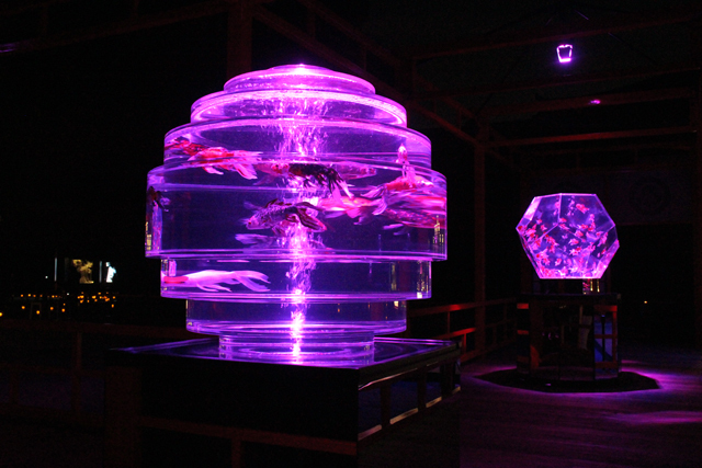 京都・元離宮二条城で開催の「アートアクアリウム城」