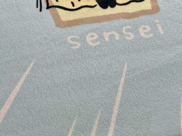 【しまむら：インテリアマット（ちいかわ）】ふわふわクッションで起毛感のある素材です♪