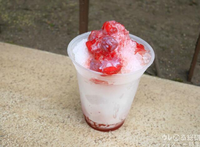 東京ディズニーリゾート「サマー・クールオフat Tokyo Disney Resort」スペシャルメニュー|シェイブアイス(ストロベリーミルク)|600円|販売店舗:ハドソンリバー・ハーベスト
