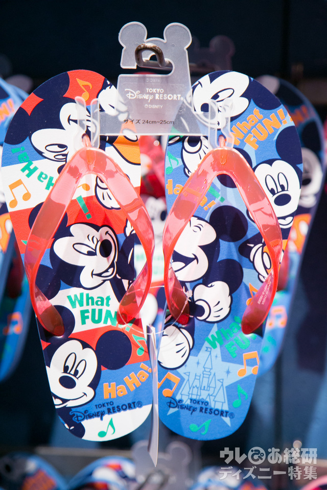 ディズニー・サマーフェスティバル 2016年