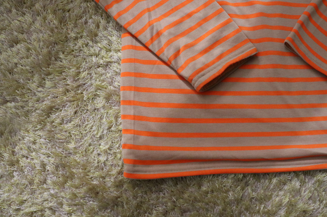 【ワークマン ブロックフリースボーダープルオーバー】展示会で欲しい！と思っていたアイテム、ついにゲット！