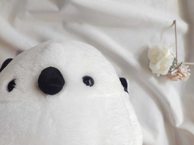 きょとんとした表情がかわいい