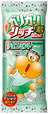 ガリガリ君リッチチョコミント 