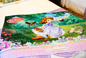 タオルケット｜東京ディズニーランドホテル「ちいさなプリンセス ソフィア」スペシャルルーム オリジナルグッズ
