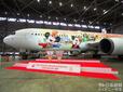 特別塗装機「JAL Colorful Dreams Express」