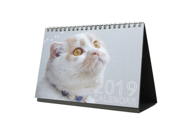 ねこ休み展 in 浦和