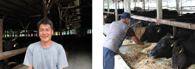 神戸牛シリーズ