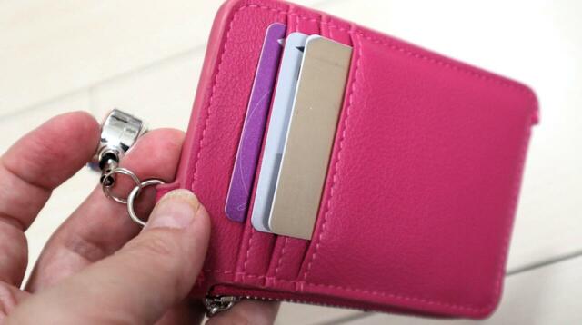 【3COINS バイカラーフラグメントケース】表面に最大3枚のカードが収納可能！