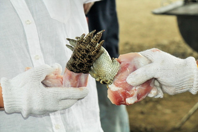 ワイルドバーベキュー／ワニ肉