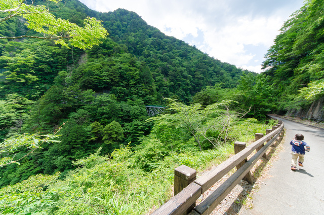 飛龍橋｜「夢の吊り橋」散策ルート：寸又峡プロムナード