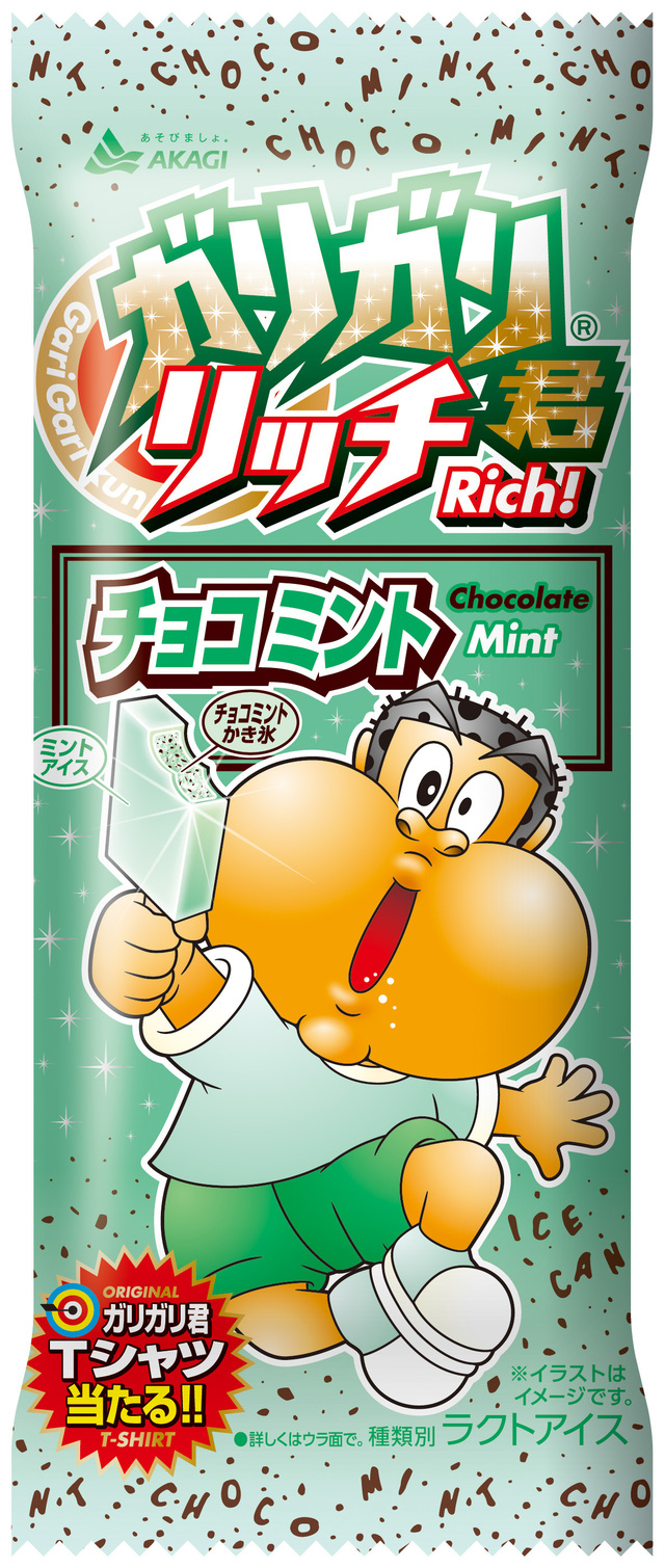 ガリガリ君リッチチョコミント