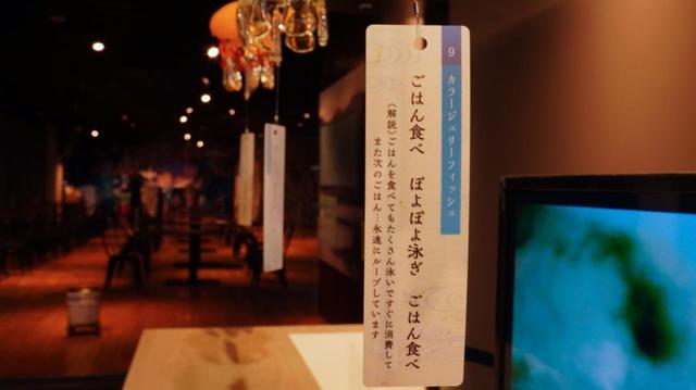 20種類、130個の“クラゲ風鈴”が織りなす涼やかな音色「くらげと風鈴」7月3日(土)開始