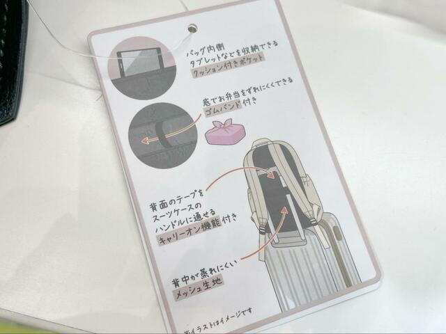 【ワークマン 撥水ライトデイバッグ】スーツケースのハンドルに固定できるキャリーオン機能も備わっています